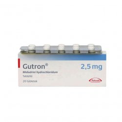 Гутрон таблетки 2,5 мг. №20 в Южно-Сахалинске и области фото